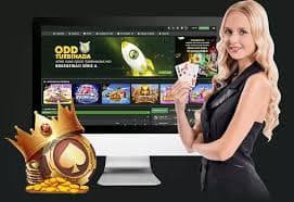 gm.ak Live Tables Aur Dealers